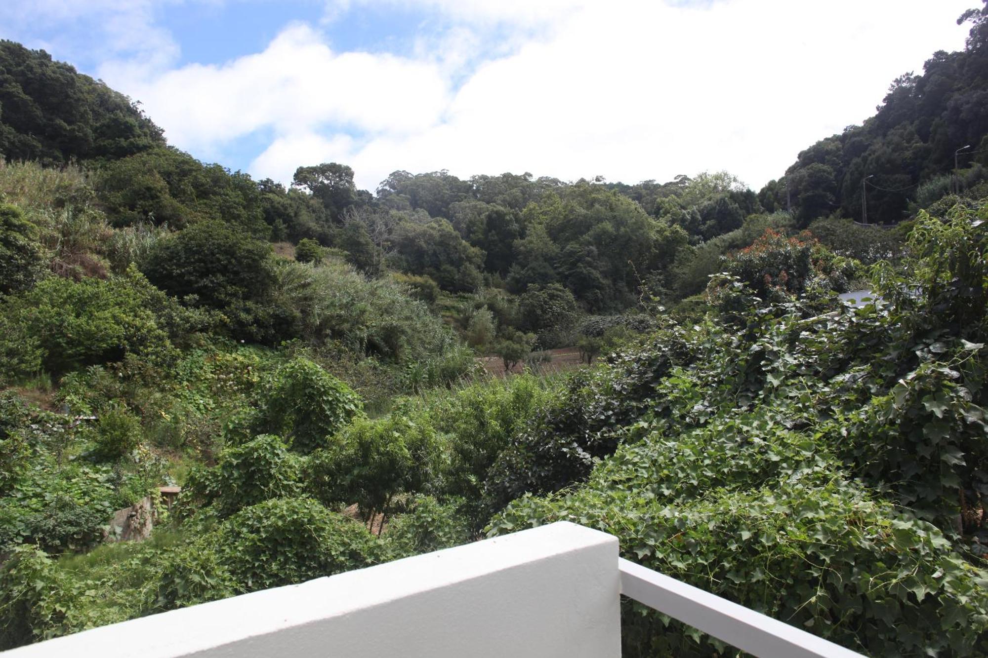 Ribeira Dos Marinheiros Verde Ceu Lägenhet Colares Exteriör bild