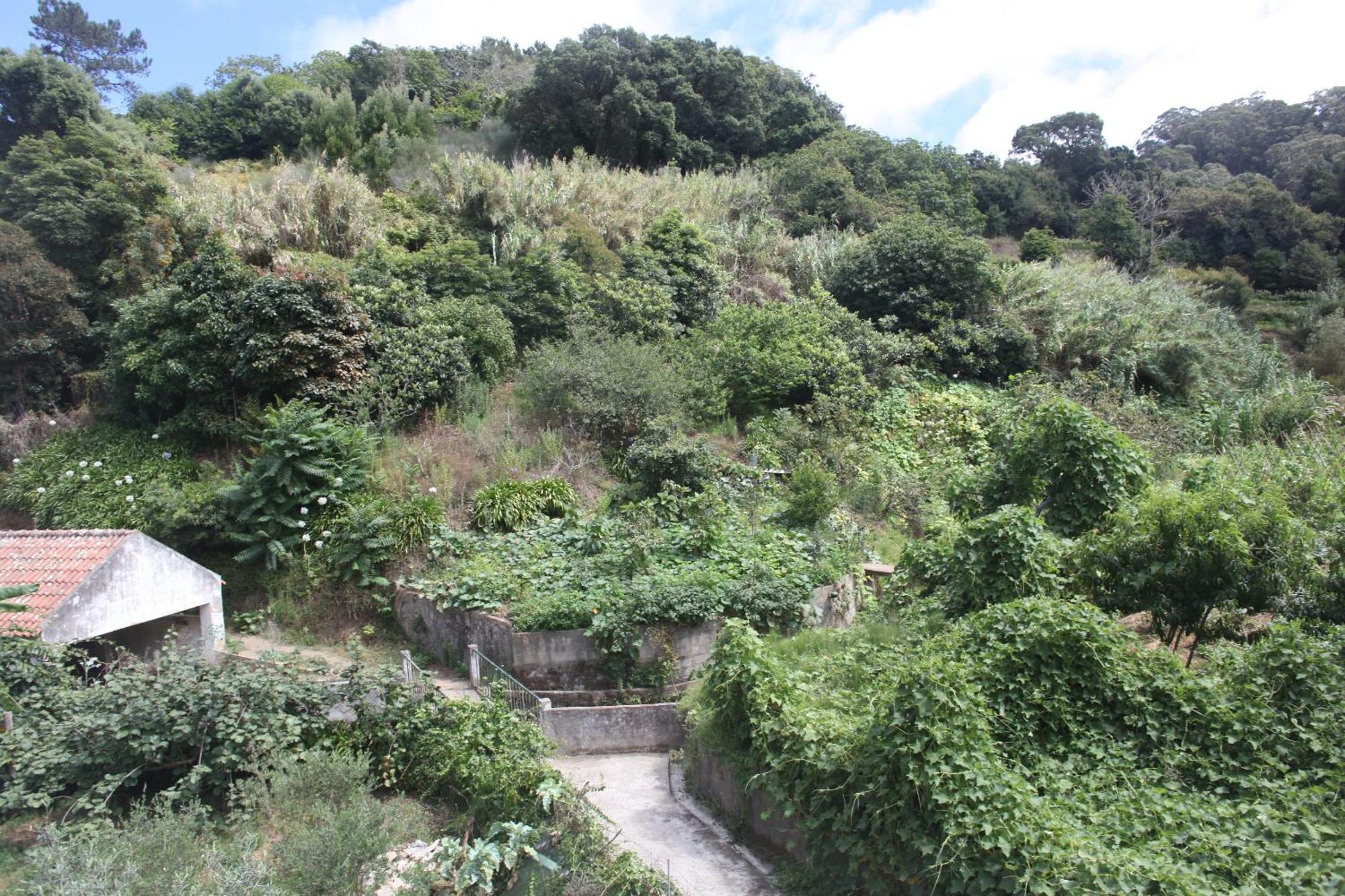 Ribeira Dos Marinheiros Verde Ceu Lägenhet Colares Exteriör bild